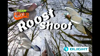 Roost Shooting & some of my best ever pigeon shots!