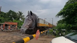 Furious angry Mad Horse Headed Teesta Torsa Express Stormy Skipping Out Railgate