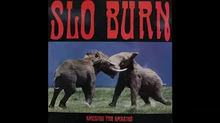 Slo Burn - Amusing The Amazing