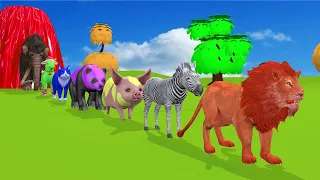 Paint Animals Lion Dog Gorilla Zebra Cat Pig Bear Panda Sheep Mammoth Fountain Crossing Animals