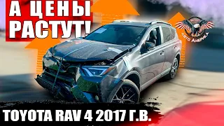 TOYOTA RAV 4 2017 г.в. 2,5 литра. Полный привод 18131 мл. Комплектация SE [как пригнать авто из США]