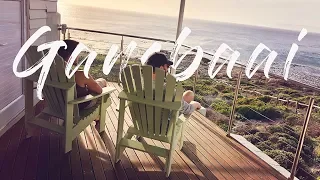 Travel Vlog - Gansbaai, South Africa: Shark Cage Diving