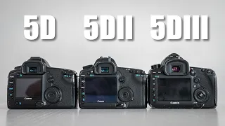 CANON 5D vs 5DII vs 5DIII. Эволюция пятаков. Общий обзор, корпус, эргономика, особенности.