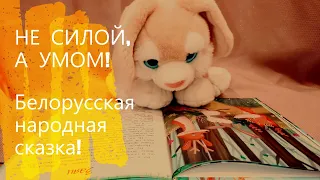 НЕ СИЛОЙ, А УМОМ!  Белорусская народная сказка!  Аудиосказка