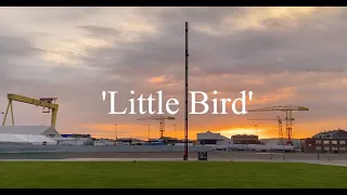 Little Bird - Thaddea Graham (Original)