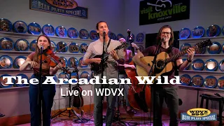 The Arcadian Wild Live on the WDVX Blue Plate Special (Full Performance)