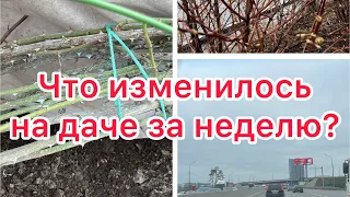 Вторая поездка на дачу. Снег растаял? Надеемся на лучшее. #дача