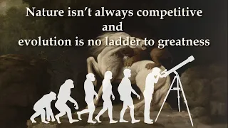 Nature isn't always competitive and evolution is no ladder to greatness