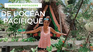 À la découverte des JARDINS POTAGERS de Polynésie française