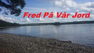 Fred på vår jord