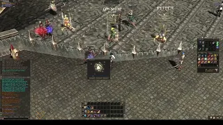 euro-pvp x1200 wild magic top life stone