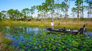 Catching my BIGGEST Florida Bass (Tiny Canal)