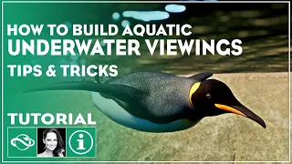 ▶ How to build an Underwater Viewing Gallery in Planet Zoo Tutorial | Tips & Tricks |