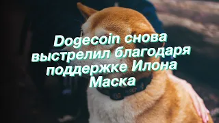 Dogecoin снова выстрелил благодаря поддержке Илона Маска