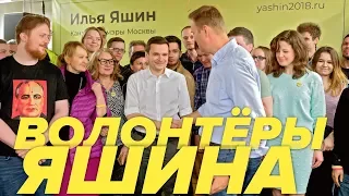 Выборы мэра. Яшин и волонтеры