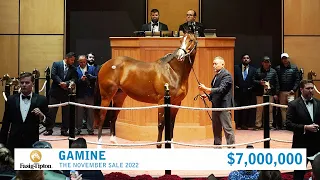 Gamine sells for $7,000,000 at The November Sale (2022)