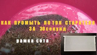 Как промыть лоток старателя за 30 секунд.Рамки Сота.Первое Золото 2021года.