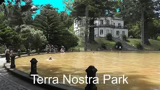AZORES: Terra Nostra Park, Furnas - São Miguel Island