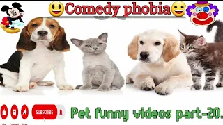 😃Pet funny videos part-20/🐈‍⬛vs🐕😁Animalspetvideos#petsim