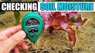 3 Ways To Check Your Soil Moisture - Garden Quickie Episode 75