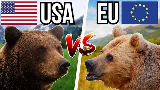 5 American Animals VS 5 European Animals - Who Would Win?