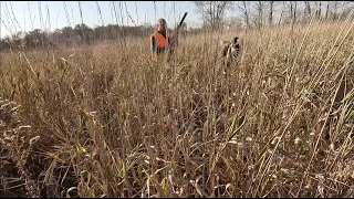 11.04.2023 First Weekend Ohio Pheasant Hunting