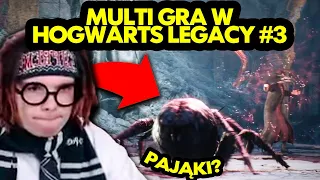 MULTI gra w HOGWARTS LEGACY #3