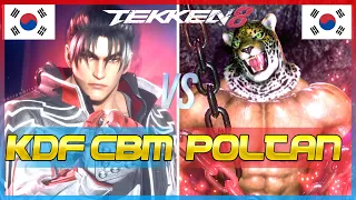 Tekken 8 🔥 KDF CBM (Jin Kazama) Vs Poltan (King) 🔥 Player Matches