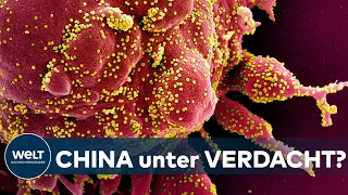 WUHAN-VIRUS: Corona-Ursprung - Warum die Pandemie doch aus dem Labor stammen könnte | WELT Analyse