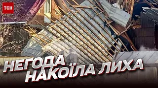 🌪 У небі літав дах! Моторошні кадри наслідків буревію на Буковині