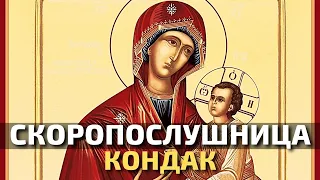 Кондак Иконе Божией Матери Скоропослушница #Shorts