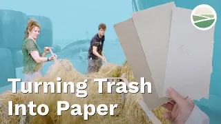 How Dutch Researchers Are Turning Roadside Grass into Sustainable Paper