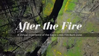 After the Fire: Part 1 — Eagle Creek Fire Explainer