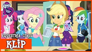 Brak planu w planie | MLP: Equestria Girls | Odcinek 9 | Sezon 2 [HD]
