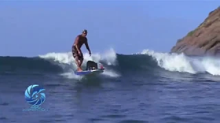 WAVE HOG starring KAMA THE SURFING PIG