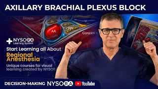 Axillary Plexus Block: Decision Making- Crash course with Dr. Hadzic