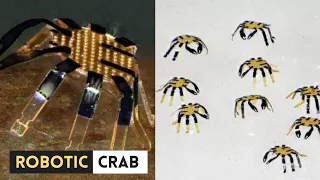 Robotic Crab Smallest Remote Controlled Walking Robot