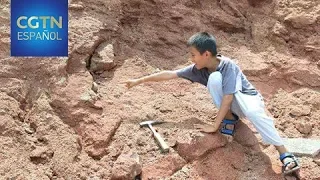 Un niño chino encuentra un nido de huevos de dinosaurio de 66 millones de años de antigüedad