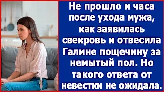 Не прошло и часа после ухода мужа, как заявилась свекровь и отвесила Свете пощечину.