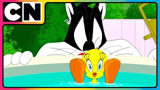 Looney Tunes  - Putty Tat Trouble | Cartoon Network Show