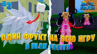 Blox Fruits Прохождение с Одним Дьявольским Фруктом!! Прокачал Фрукт и Купил Волю #2