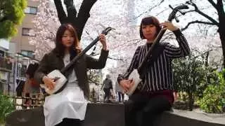 Sakura by KiKi - 桜変奏曲 輝&輝 - Tsugaru Shamisen 津軽三味線