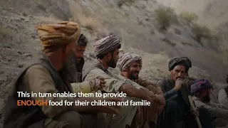 Farmer's Day in Afghanistan