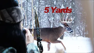 Deer Hunter, Archery , 10 Big Bucks. How Many Get Slocked?