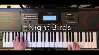 Night Birds By Shakatak Casio CT-X 5000 Arranger Played By KeyBoSolo
