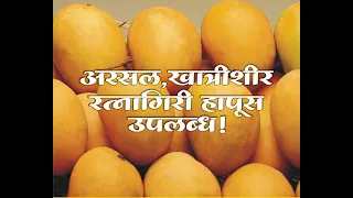 World's Best Mangoes