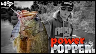 Tips for Fishing Poppers for Springtime Bass