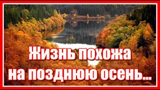 "Жизнь похожа на позднюю осень, годы словно как листья летят..."  Красивое жизненное стихотворение.