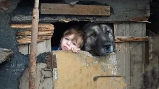 Заглянув в собачью конуру, мать не поверила своим глазам, увидев то, что изменило её жизнь