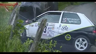 Best-of Rallye 2018 Crash & Mistakes and Show